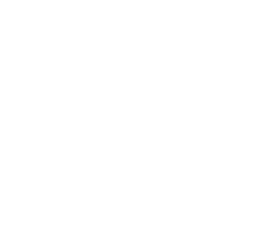 VGV